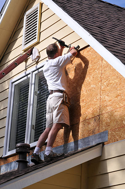 Best Siding Painting and Refinishing  in Greenbelt, MD